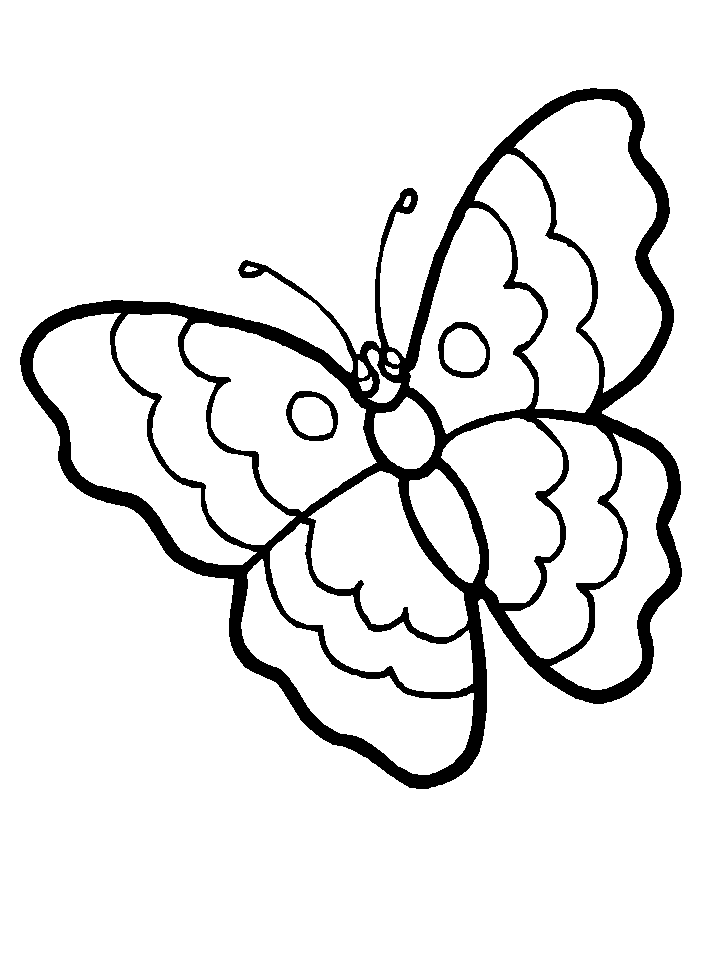 butterfly coloring pages - Clip Art Library