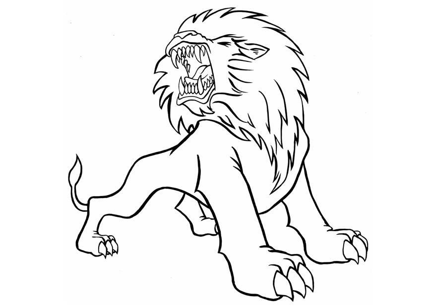 Lion | Coloring Pages - Free