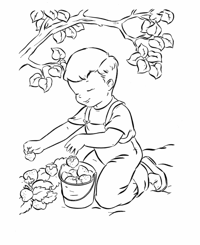 apples coloring pages