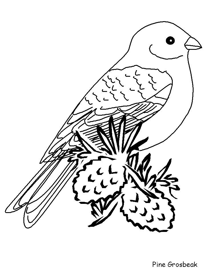 Birds Pinegrosbeak Animals Coloring Pages  Coloring Book