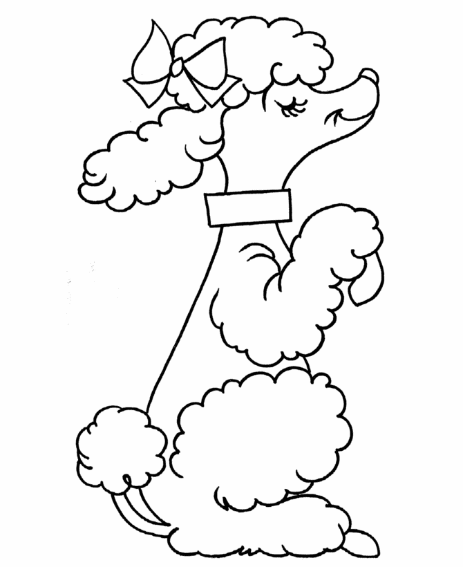 Poodle Printable Coloring Pages 