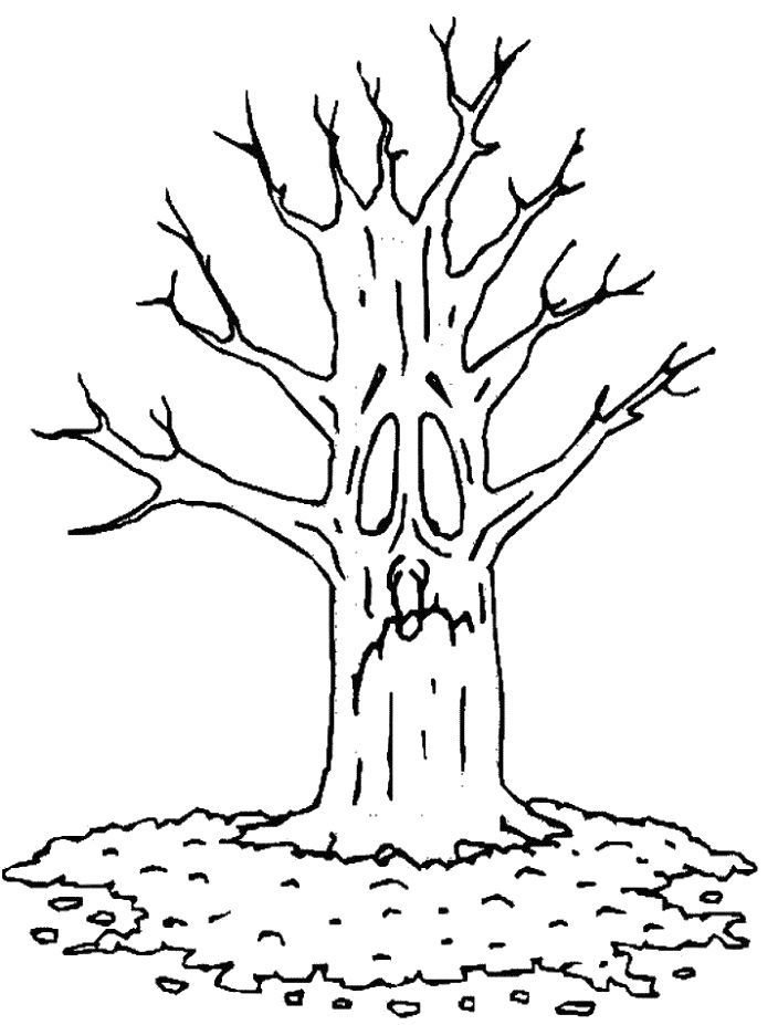 coloring-pages-autumn-trees-356 | Free 