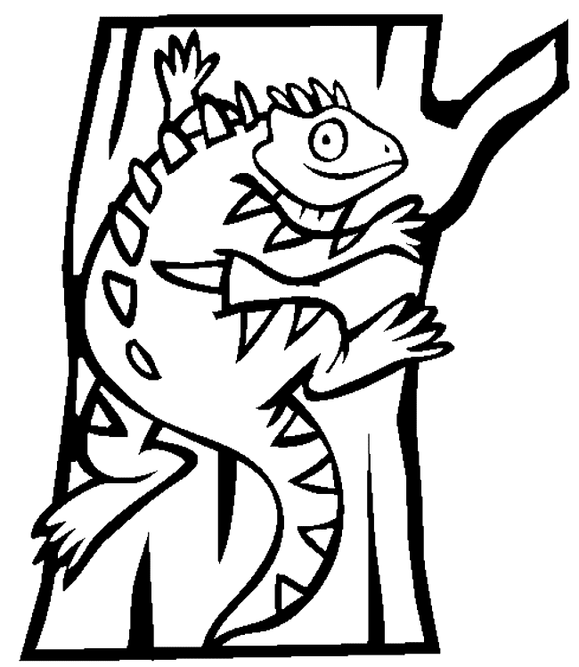Iguana coloring page - Animals Town