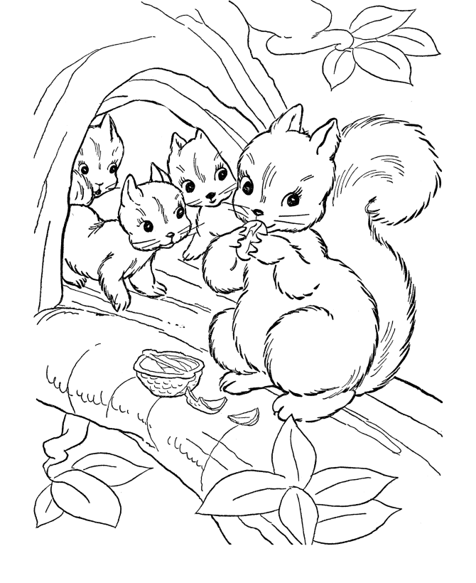 Squirrel Coloring Page | Animal Safari Birthday