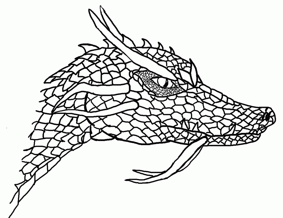 Simple Dragon Head Drawings Images  Pictures 