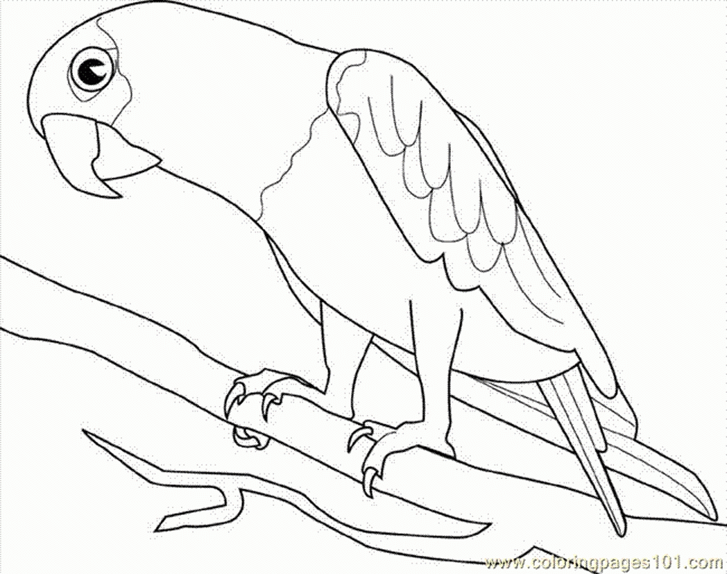 Luau Coloring Pages 