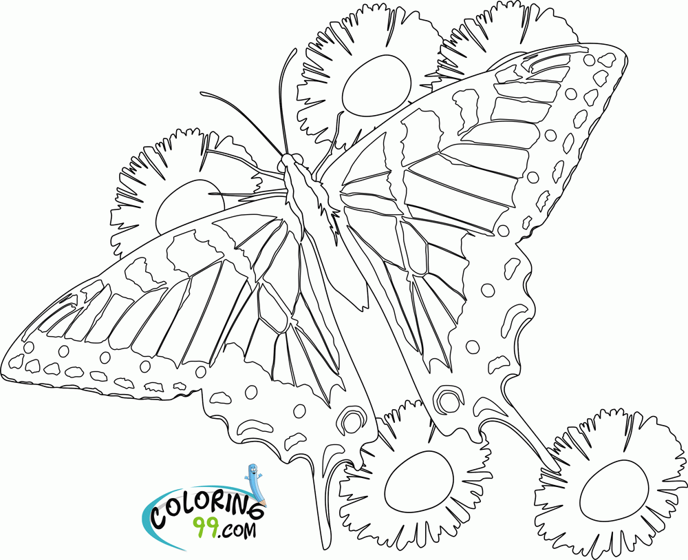 butterfly printable coloring