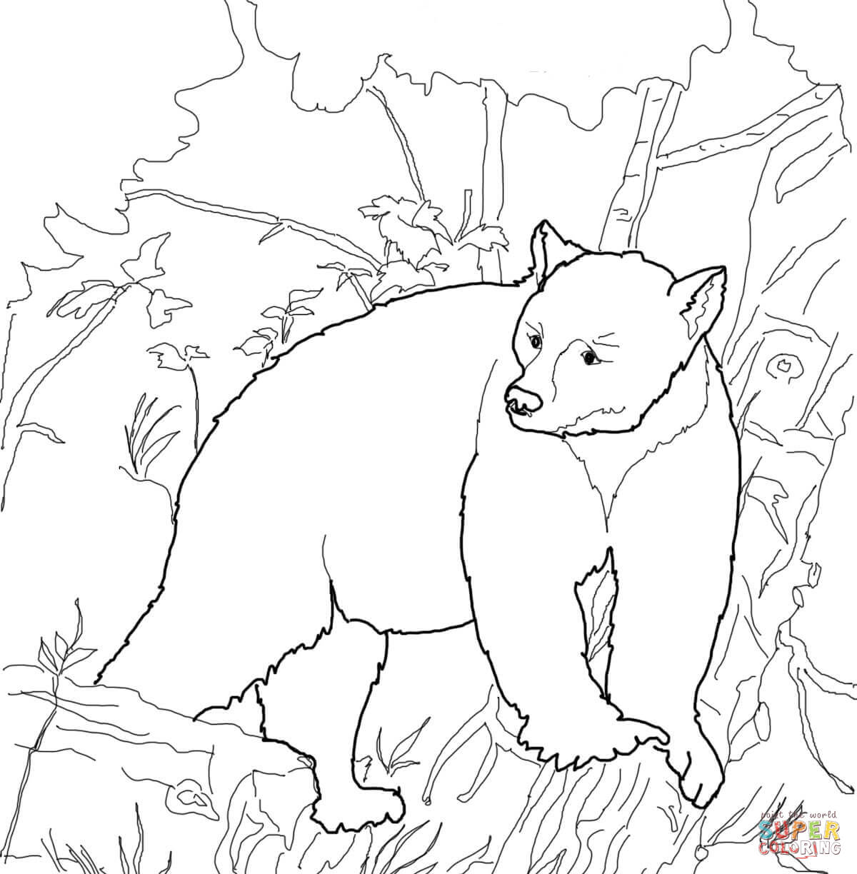 black bear coloring page - Clip Art Library