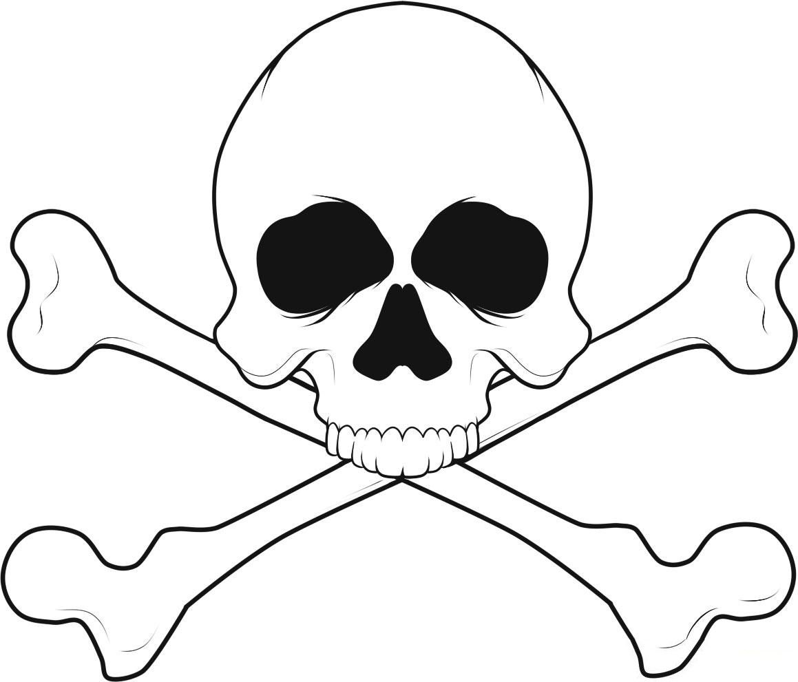 Free Printable Skeleton Coloring Pages Download Free Printable