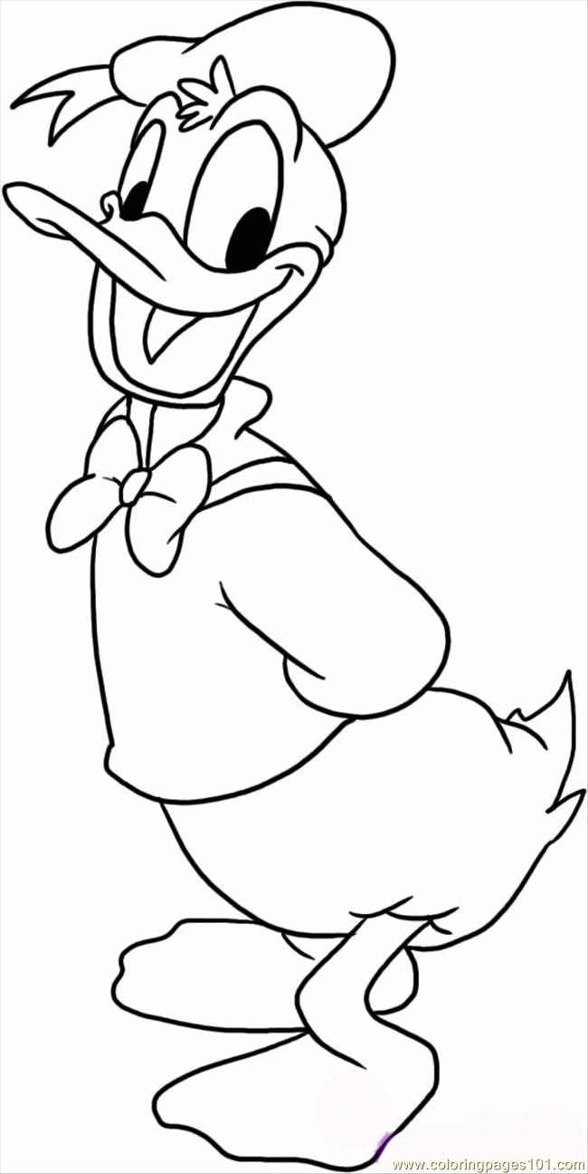 Free Pictures for: Duck coloring page 