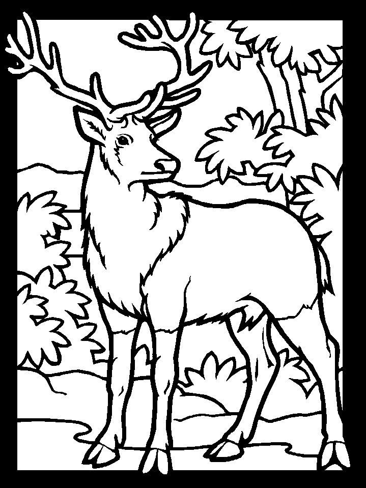 Deer Hunting Coloring Pages | Free Printable Coloring Pages | Free