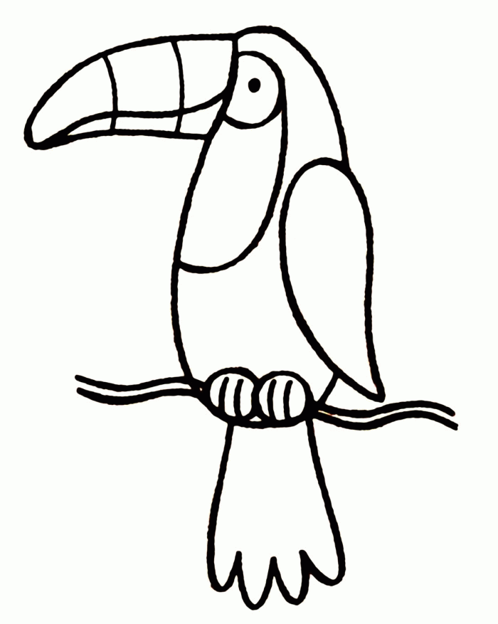 Free Toucan Pictures For Kids, Download Free Toucan Pictures For Kids