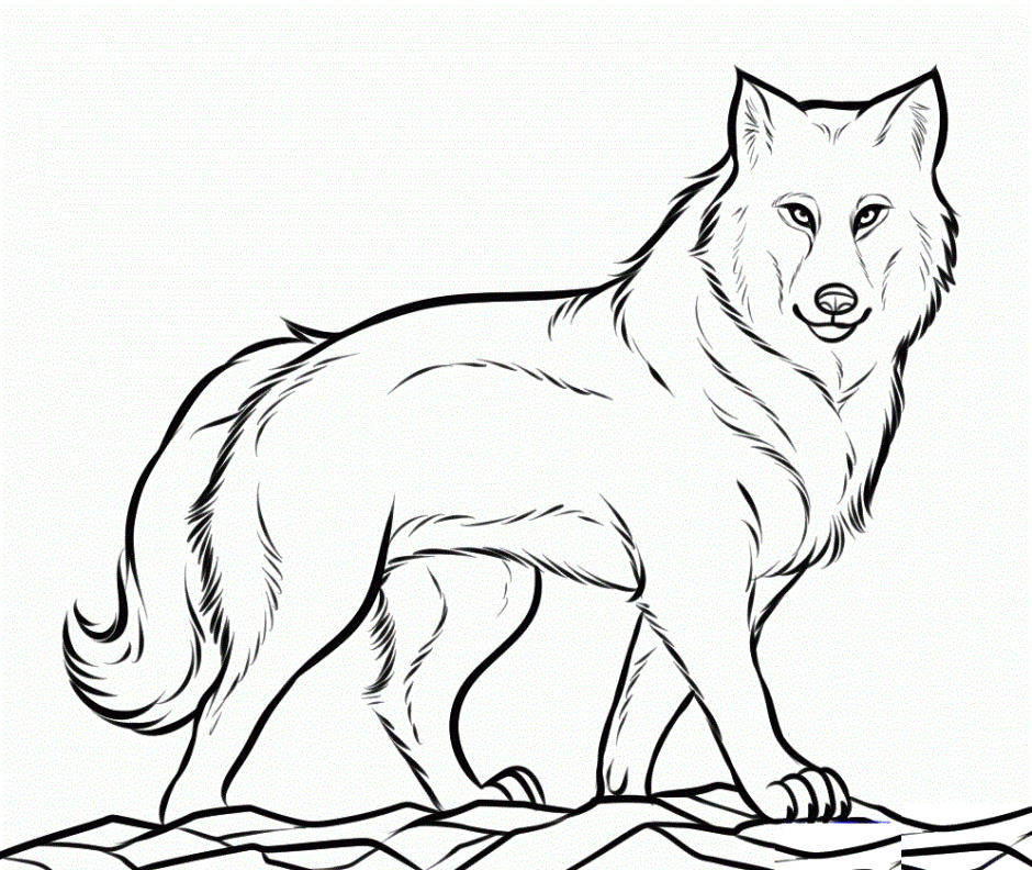Baby Wolf Coloring Pages Download Page Quoteko Baby Wolf