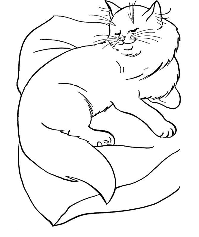 Big Cat Acting Up Sweet Coloring Page | Cat and Dog drawings