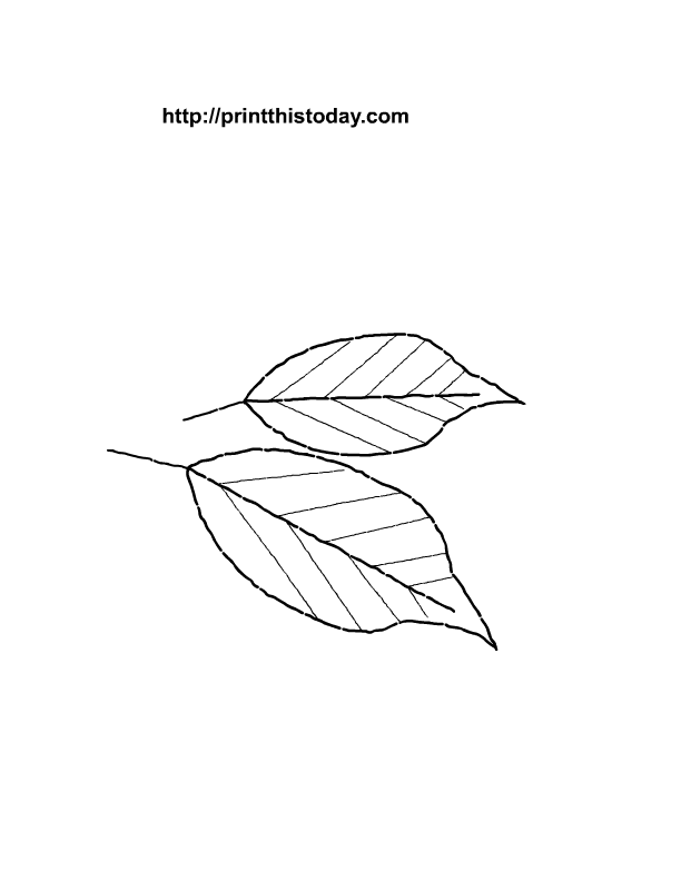 Free Printable Coloring Pages | Print This Today