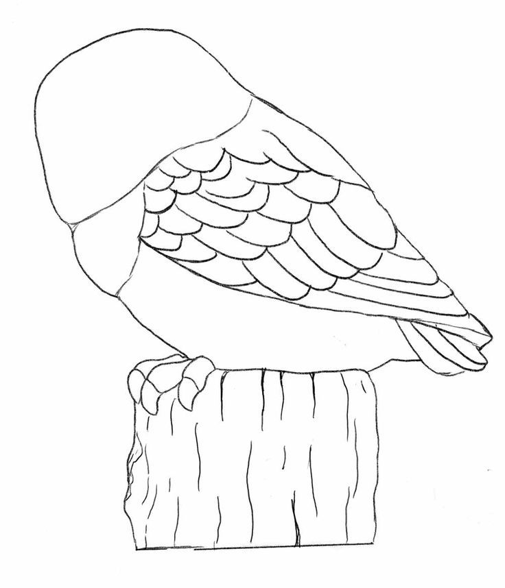 owl carving pattern ( B) | Wood Carving Ideas