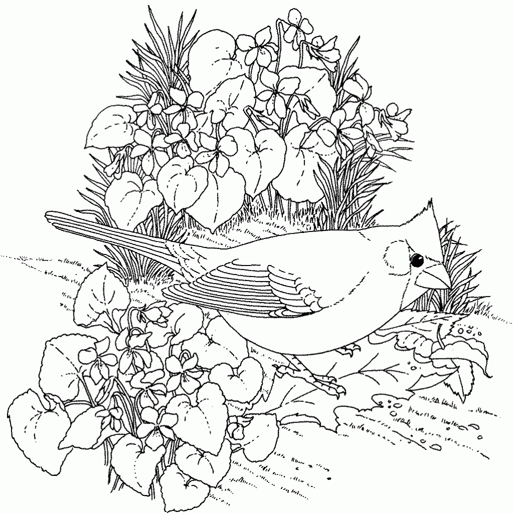 Featured image of post Realistic Sunset Coloring Pages / Click on the coloring page to open in a new window and print.