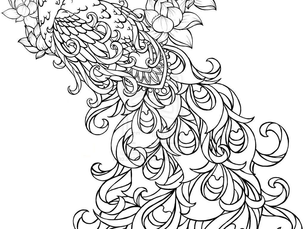 Featured image of post Printable Peacock Colouring Pages I think peacocks are just beautiful their vivid colors really are a sight
