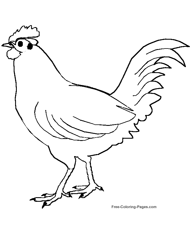 Printable coloring pages of birds - Chicken