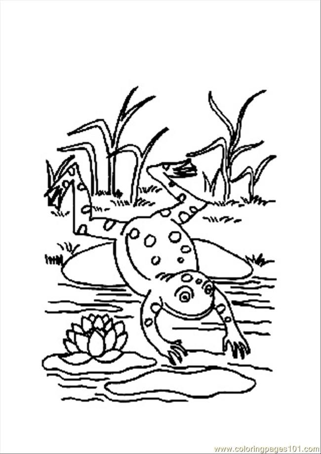 Coloring Pages Animals Frog2 Coloring Page (Amphibians  Frog