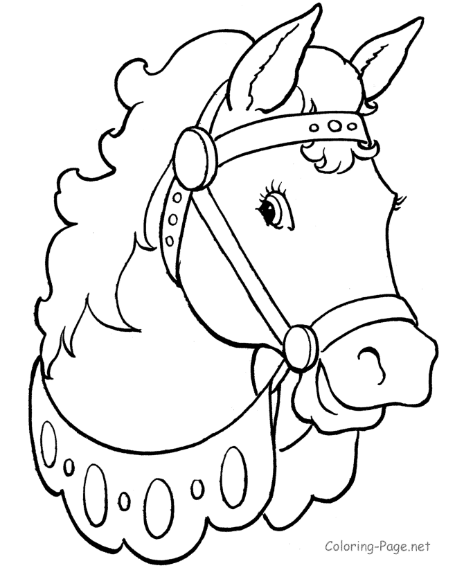 Horse Coloring Page - Beautiful horse