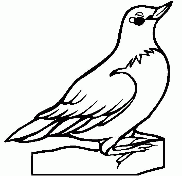 Free Bird Outline Drawing, Download Free Bird Outline Drawing png