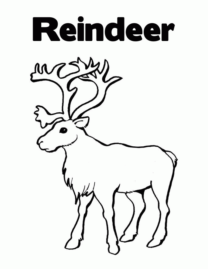 reindeer printable
