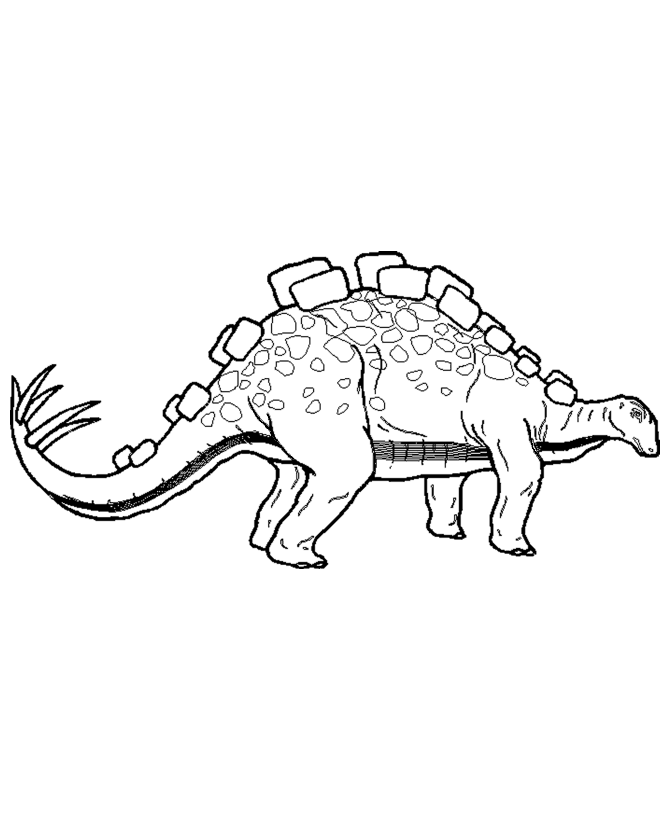 Featured image of post Stegosaurus Coloring Pages : Coloring books for boys and girls of all ages.