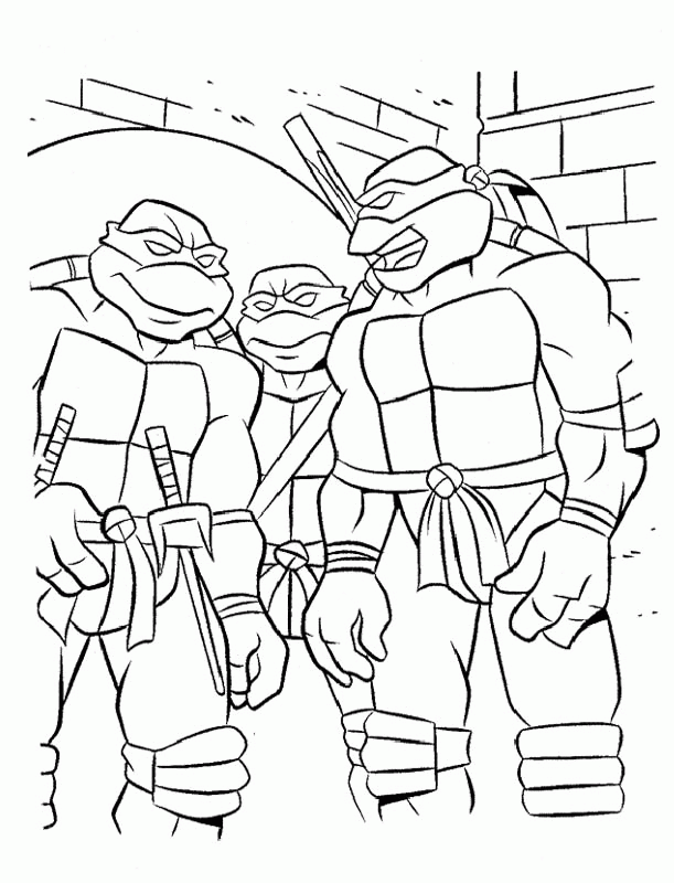 The-Three-Ninja-Turtle