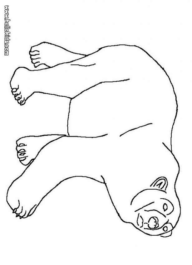 Polar Bear Cute Polar Bear Coloring Page Cute Polar Bear Coloring