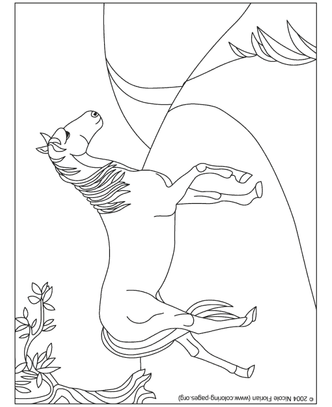 Horse Coloring Pages - Beautiful horse