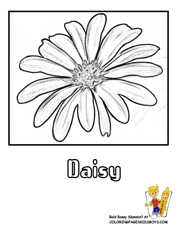 Daisy Flower Friends Coloring Pages