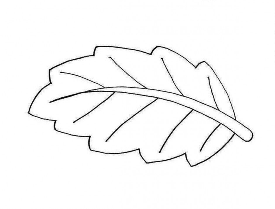 Long And Big Leaf Design And Shape Coloring Pages Plant Coloring