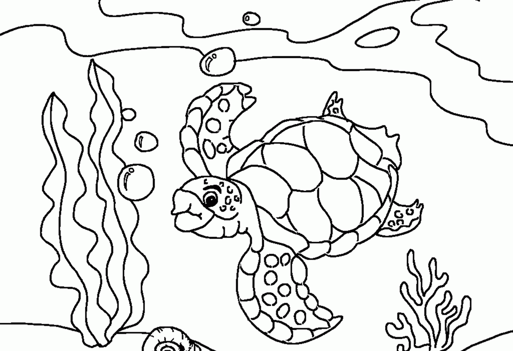 Free Printable Sea Turtle 