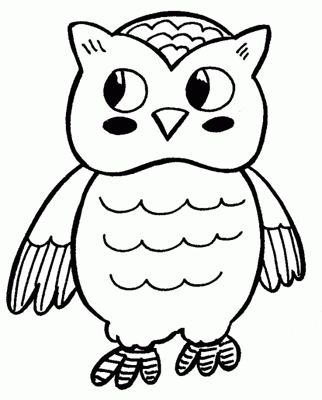 Free Owl Outline, Download Free Owl Outline png images, Free ClipArts