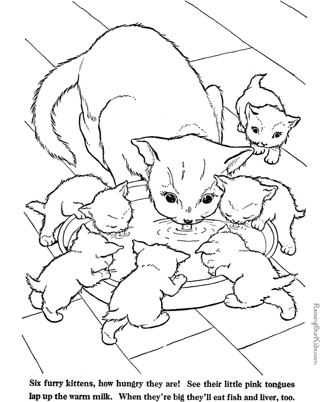 Cat coloring page - Farm Animals to print and color