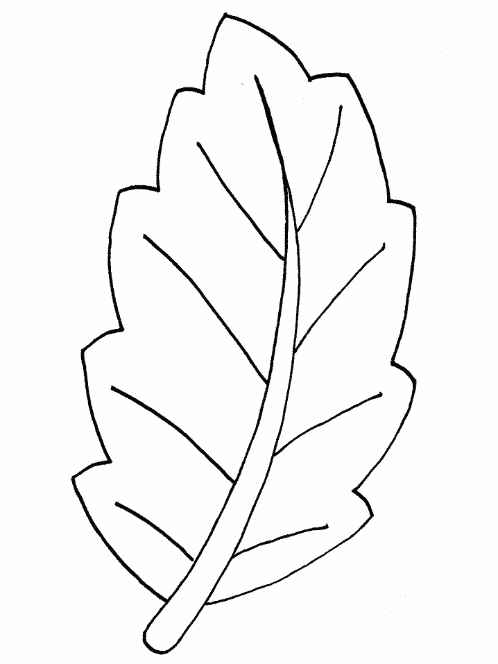 Free Blank Leaf Template, Download Free Blank Leaf Template png images