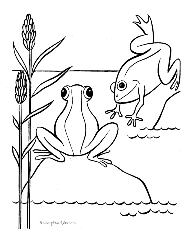 Free printable frog coloring Page