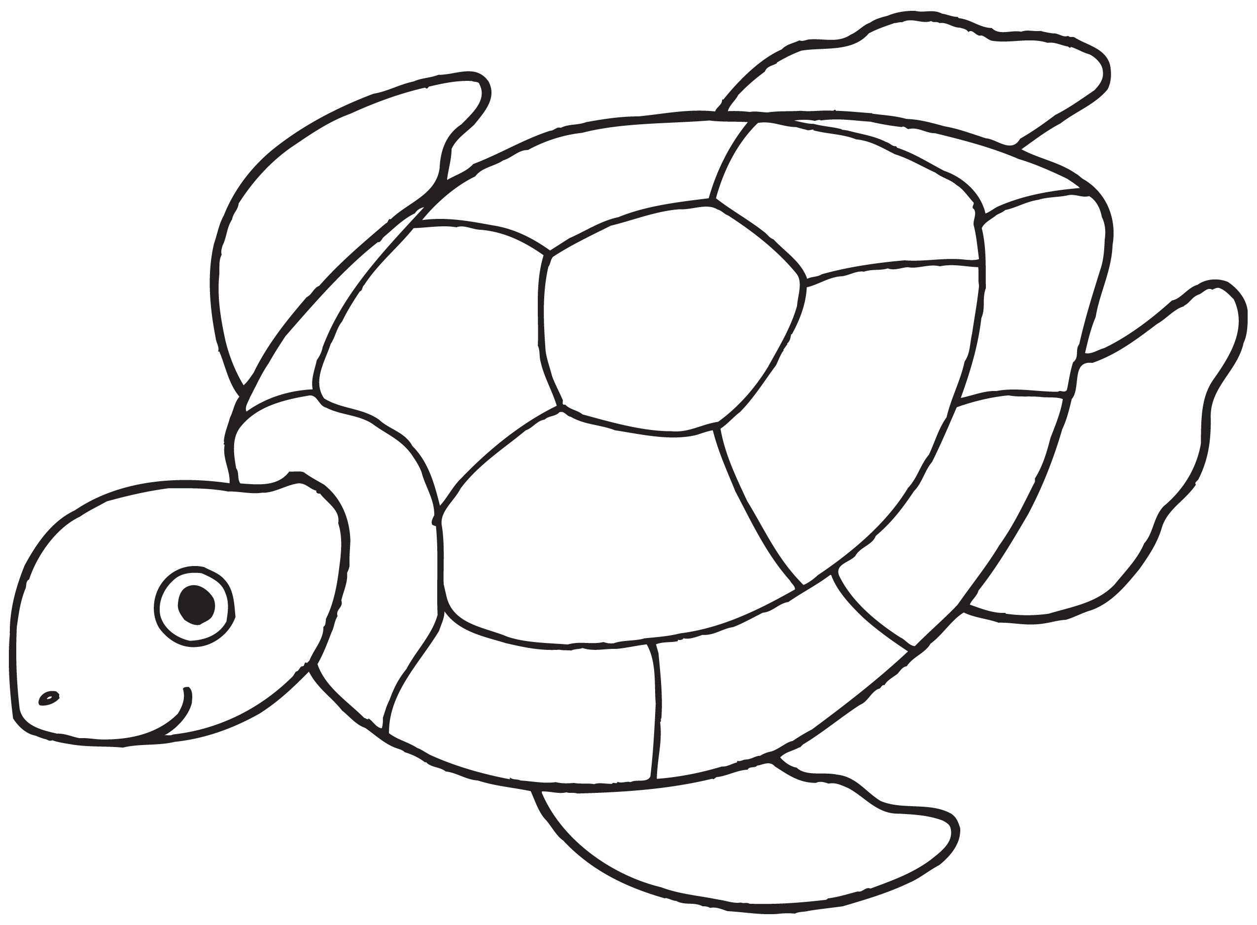 Draw Clipart Black &, White Turtle 