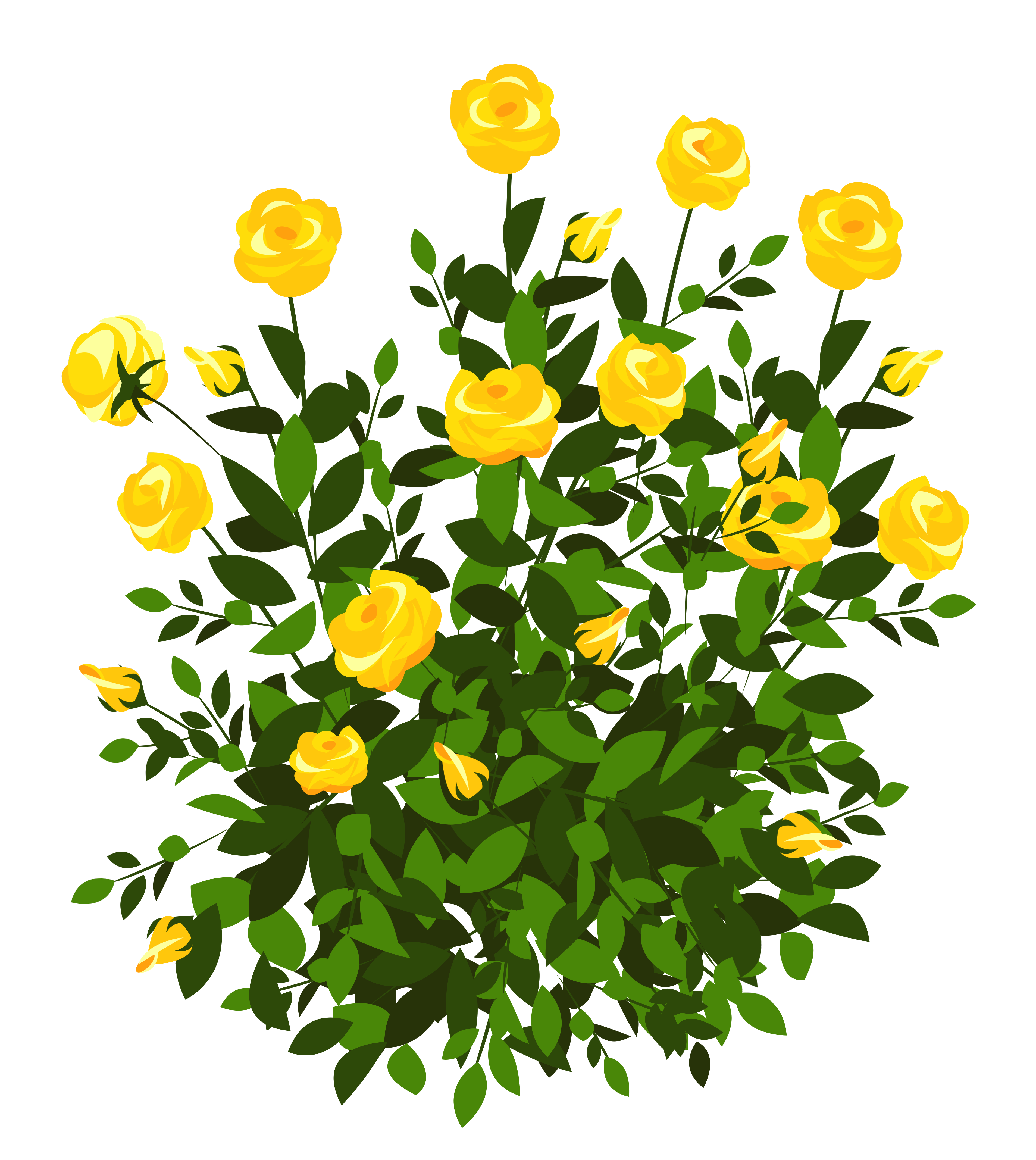Yellow Rose Bush PNG Clipart Picture