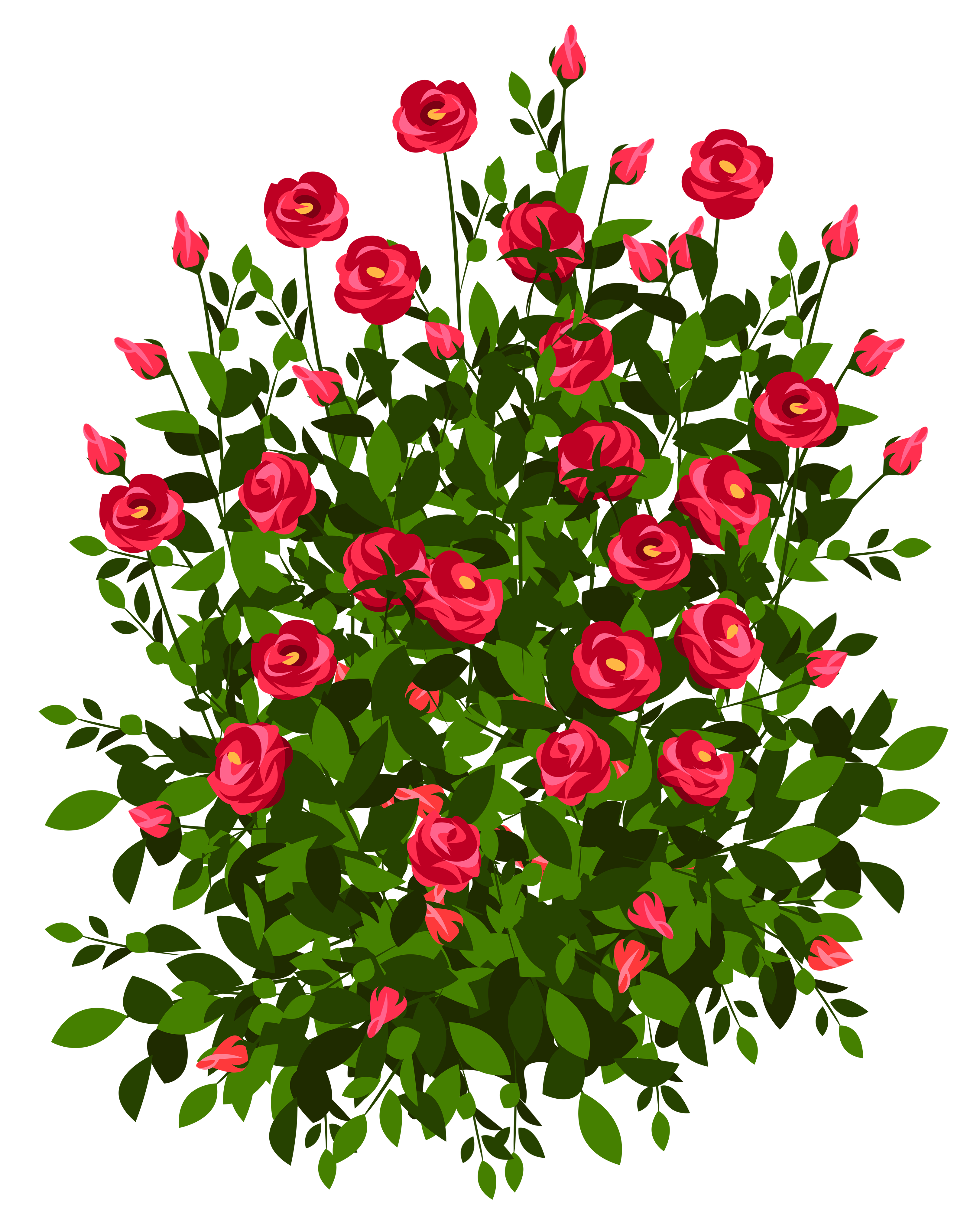 Red Rose Bush PNG Clipart Picture