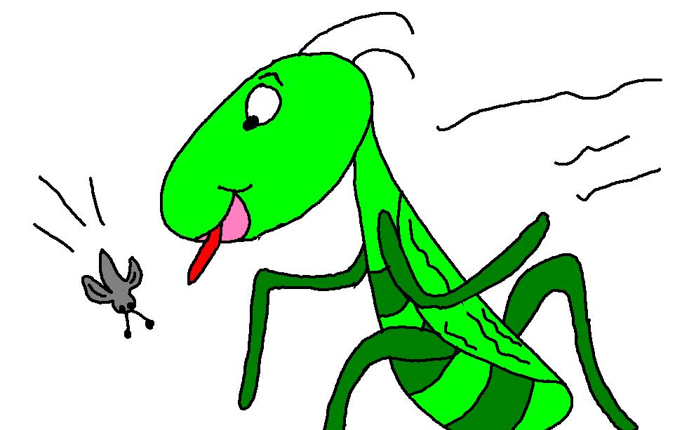 free clip art grasshopper - photo #31