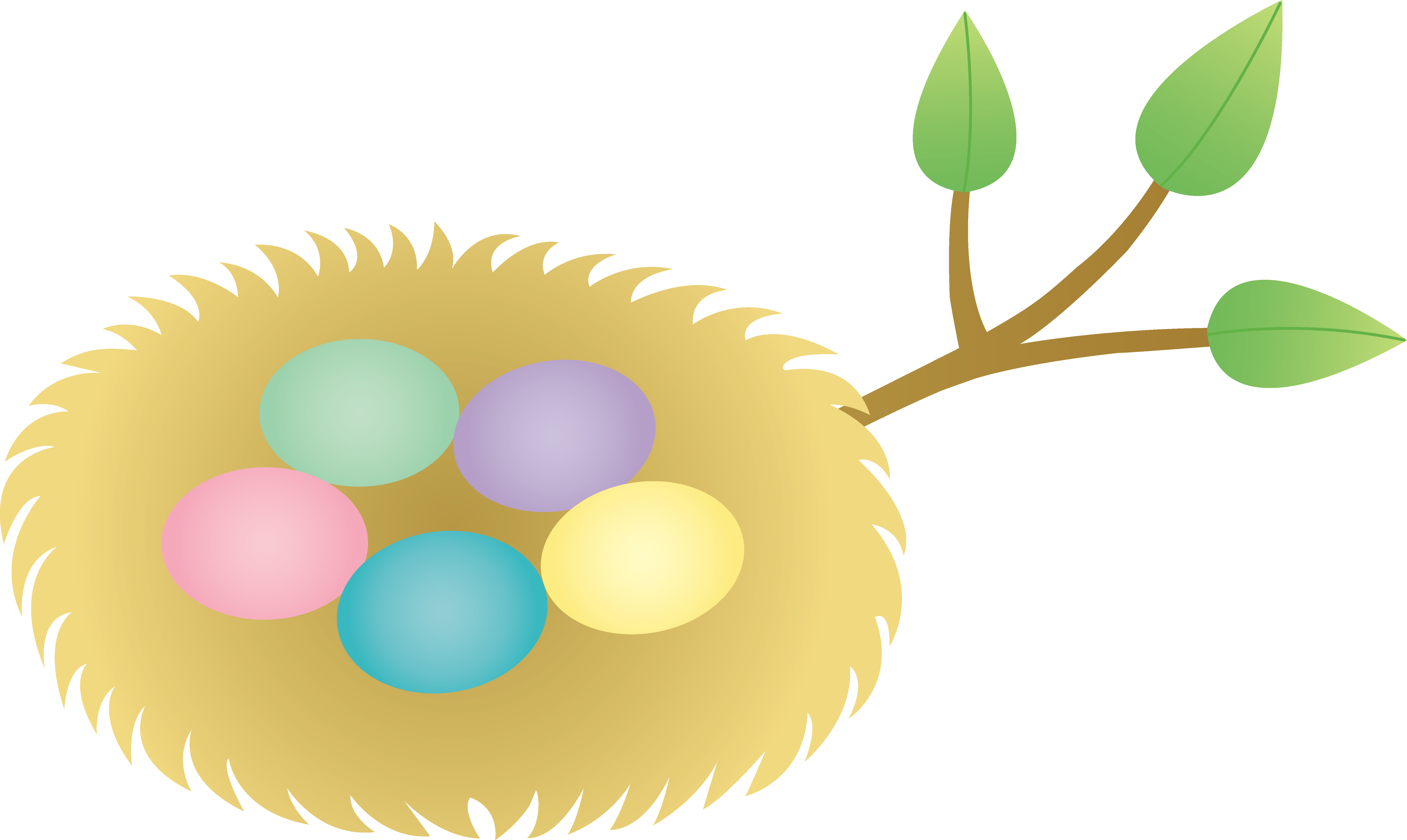 clipart of nest - photo #44