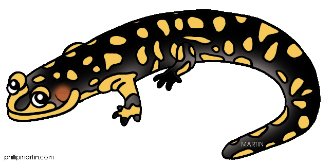 Salamander Free Clipart