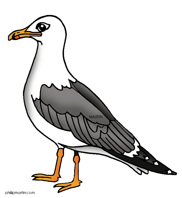 Seagull cliparts 