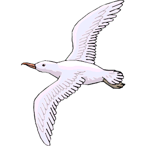 Seagull clipart cliparts of seagull free download wmf image 