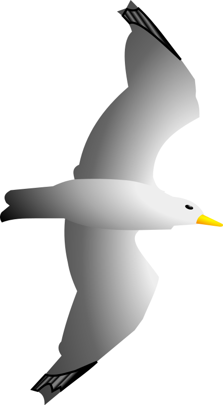 Seagull clipart black and white free clipart image 2 image 