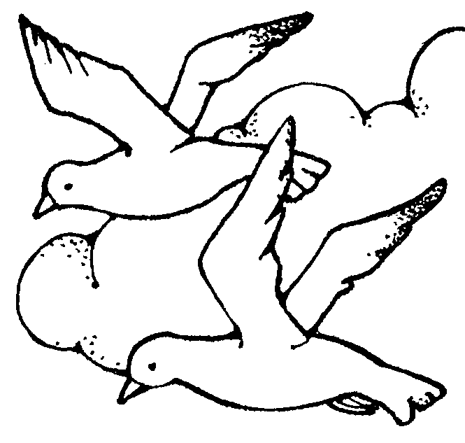 Clip Art Seagull 