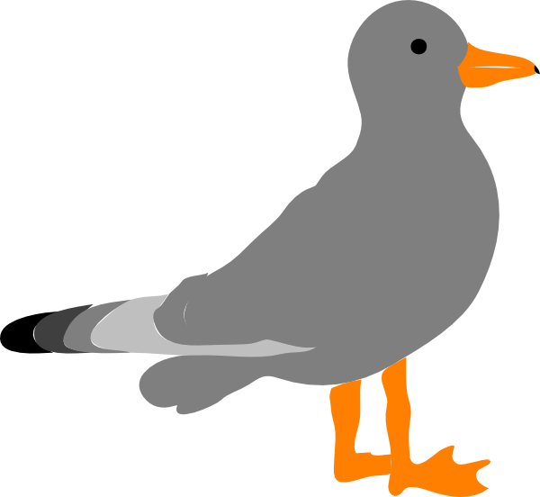 Cartoon Picture Of Seagull 