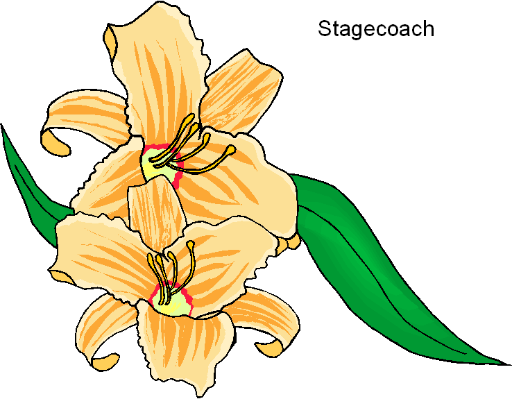 Stagecoach Clip Art